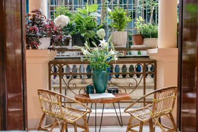 Hola House Hanoi – 写真 4
